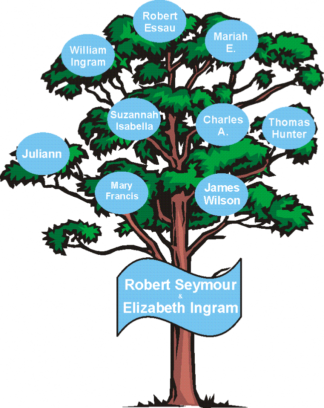 Robert Seymour and Elizabeth Ingram Family Tree